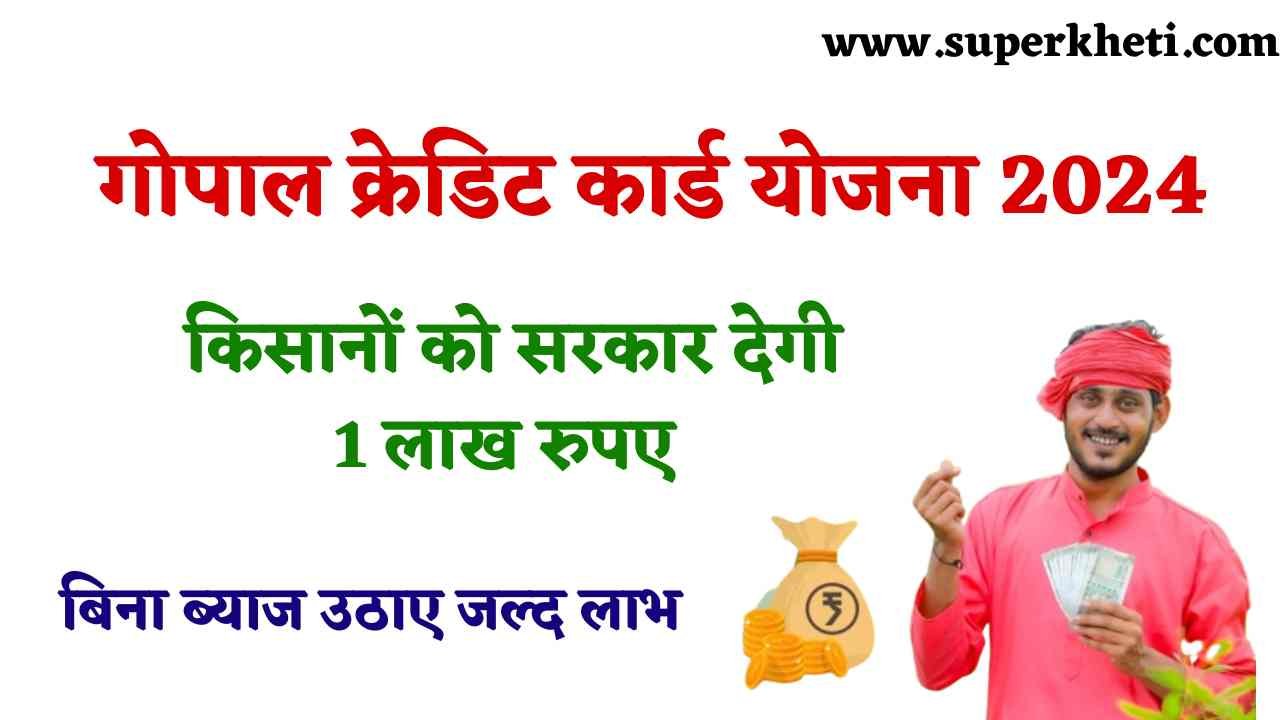 Gopal Credit Card Scheme 2024: गोपाल क्रेडिट कार्ड योजना में शामिल किसानों को सरकार देगी 1 लाख रुपए, बिना ब्याज उठाए जल्द लाभ