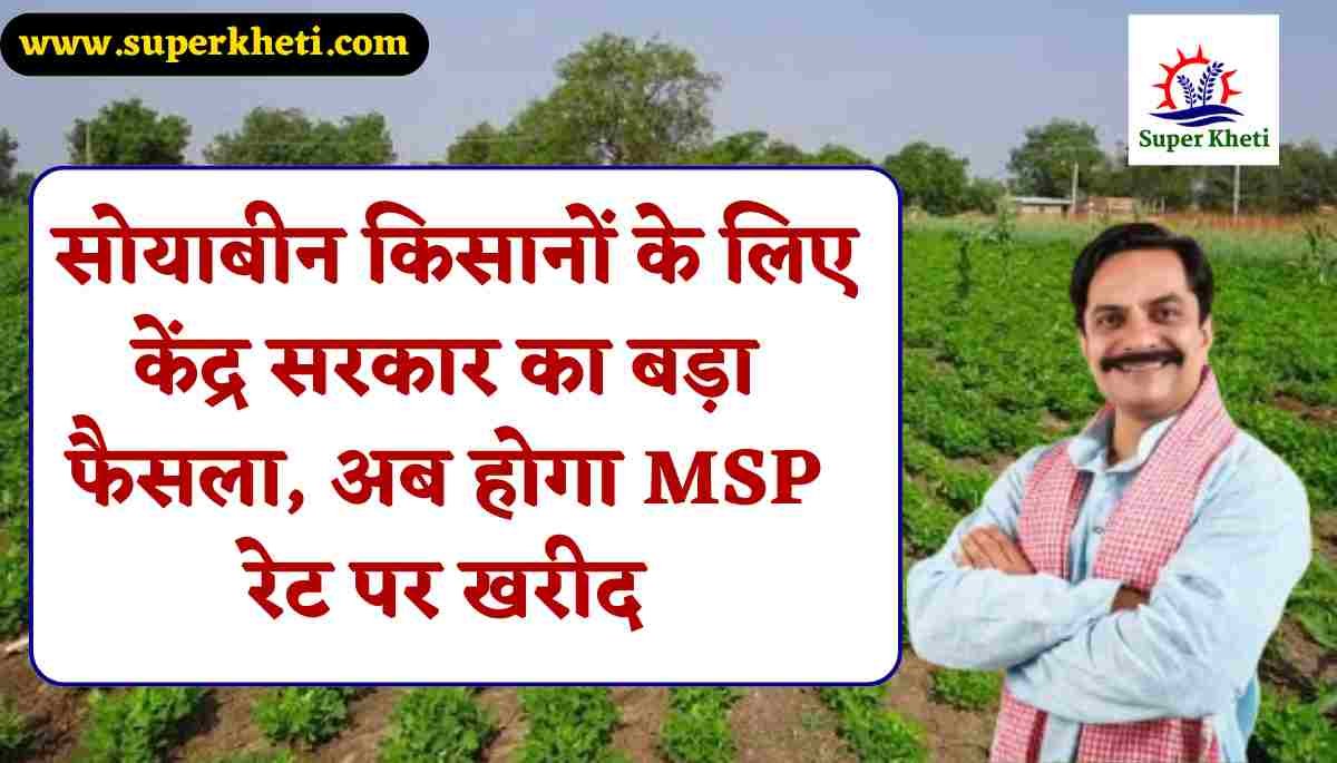 Soyabean Purchase MSP Rate: सोयाबीन किसानों के लिए केंद्र सरकार का बड़ा फैसला, अब होगा MSP रेट पर खरीद