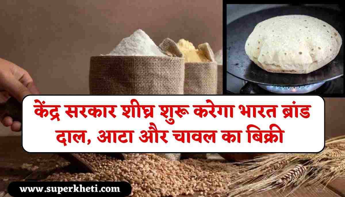 Bharat Brand Dal, Flour Update: केंद्र सरकार शीघ्र शुरू करेगा भारत ब्रांड दाल, आटा और चावल का बिक्री, इस बार कीमत में होगा बदलाव 