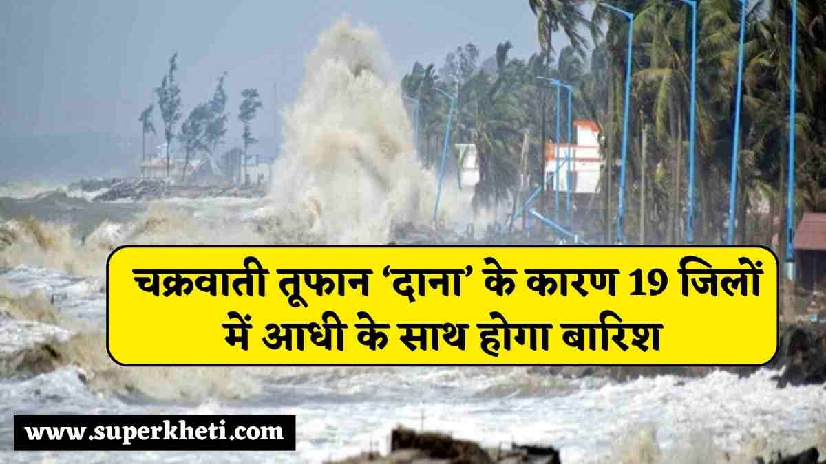 Bihar Weather Report: बिहार राज्य में आज चक्रवाती तूफान ‘दाना’ के कारण 19 जिलों में आधी के साथ होगा बारिश, जानें मौसम विभाग का अलर्ट