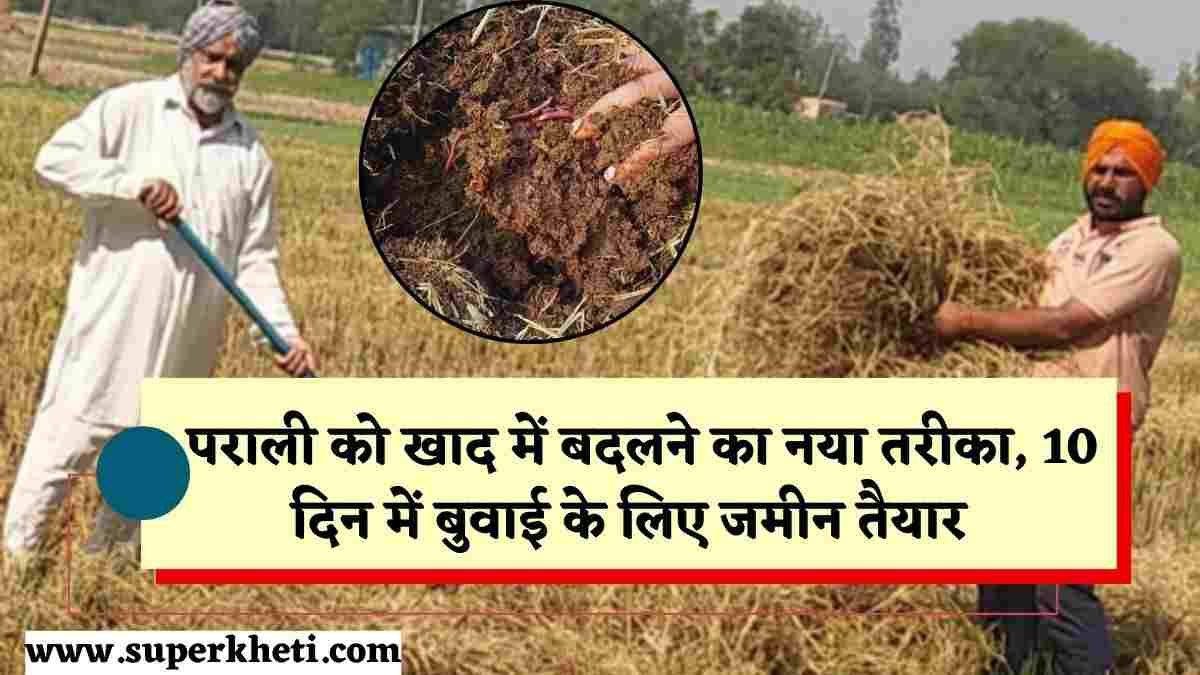 Composting Stubble: पराली को खाद में बदलने का नया तरीका, 10 दिन में बुवाई के लिए जमीन तैयार, अगली फसल में बंपर पैदावार