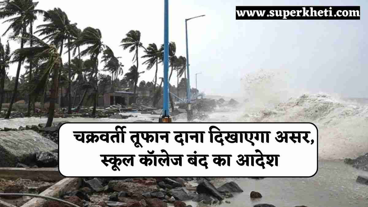 Cyclonic Storm Dana: देश के कई राज्यों में चक्रवर्ती तूफान दाना दिखाएगा असर, स्कूल कॉलेज बंद का आदेश 