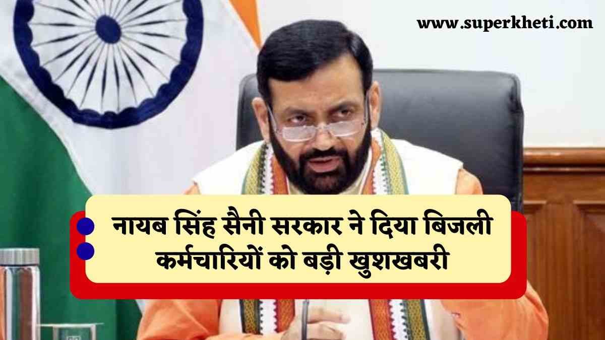 Electricity Employees Diwali Bonus: हरियाणा की नायब सिंह सैनी सरकार ने दिया बिजली कर्मचारियों को बड़ी खुशखबरी, मिलेगा बोनस