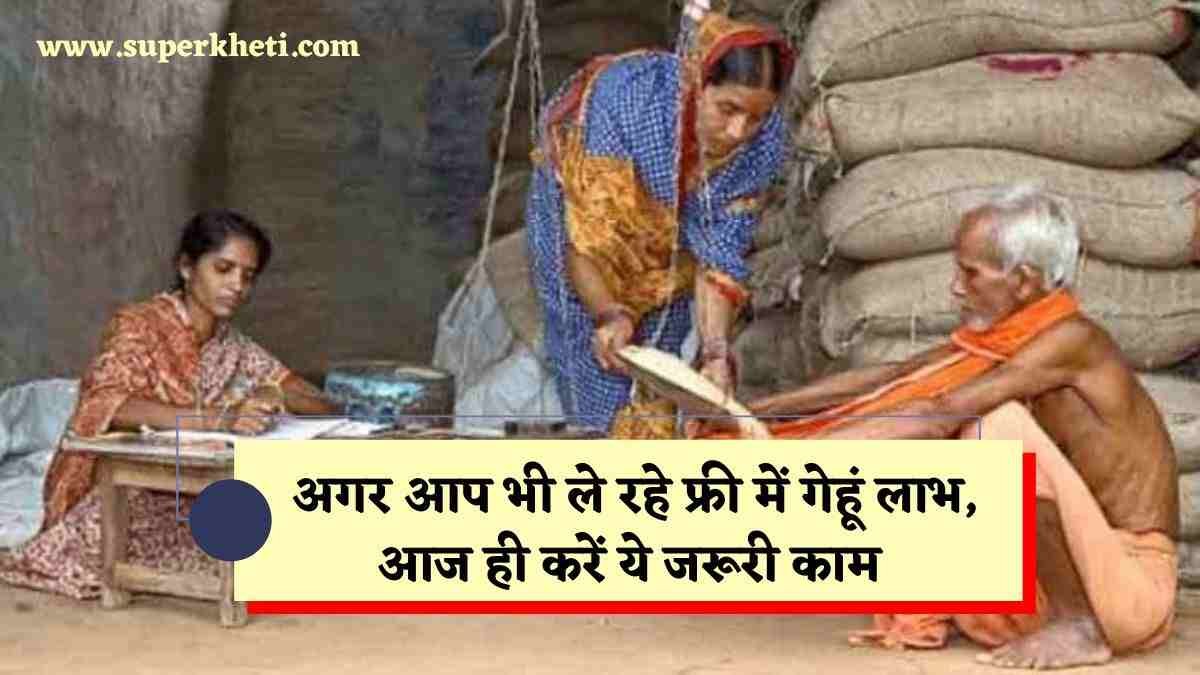 Free Ration Update:अगर आप भी ले रहे फ्री में अनाज लाभ, आज ही करें यह काम नहीं तो नहीं मिल पाएगा फ्री में गेहूं