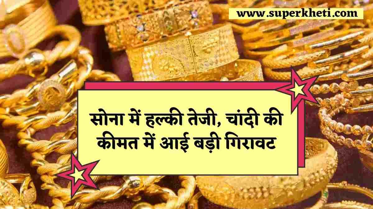 Gold Rate In India : सोना में हल्की तेजी, चांदी की कीमत में आई बड़ी गिरावट, आइए जानें आज सोना चांदी के दाम