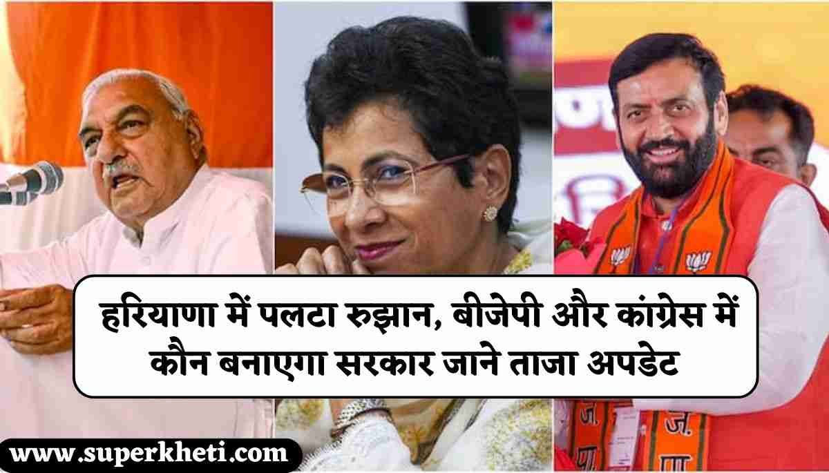 Haryana Chunav Result 2024 Live: हरियाणा में पलटा रुझान, बीजेपी और कांग्रेस में कौन बनाएगा सरकार जाने ताजा अपडेट