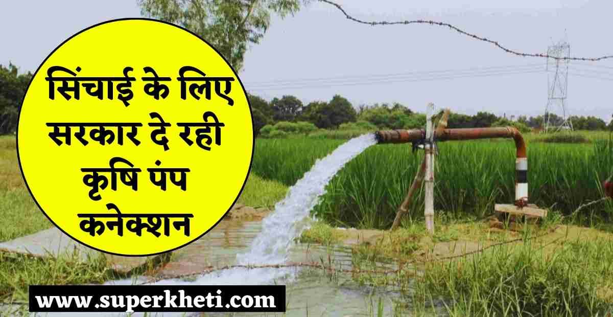 Krishi Pump Bijli Connection Yojana: किसान को फसल में सिंचाई के लिए सरकार दे रही कृषि पंप कनेक्शन, जानें लेने के लिए कहां पर करना होगा आवेदन 