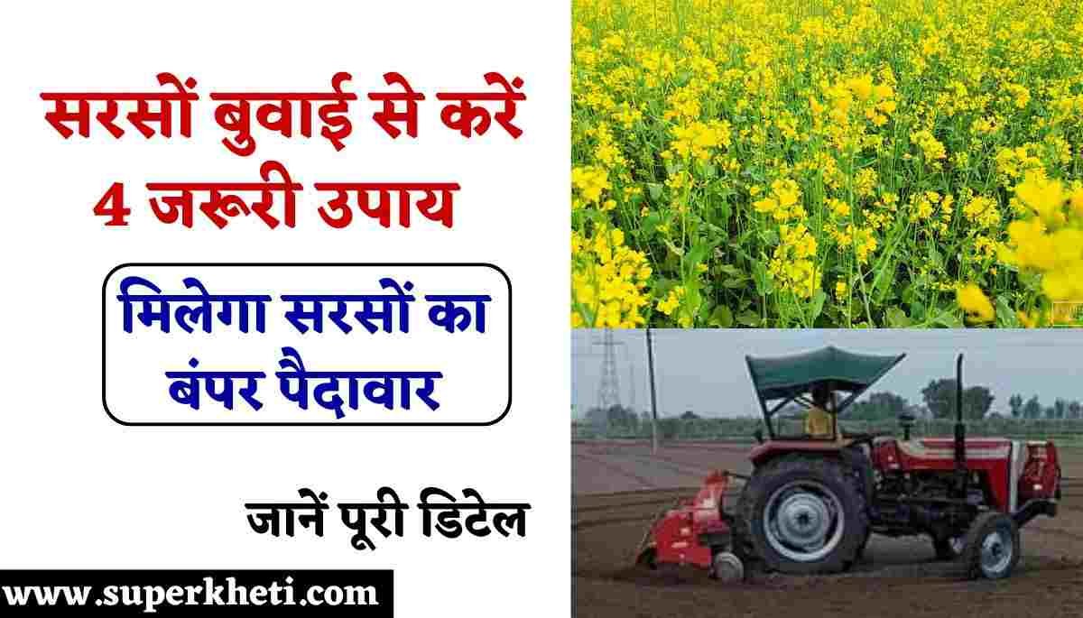 Mustard field Preparation: किसान सरसों बुवाई से करें यह 4 जरूरी उपाय, मिलेगा सरसों का बंपर पैदावार, जानें पूरी डिटेल 