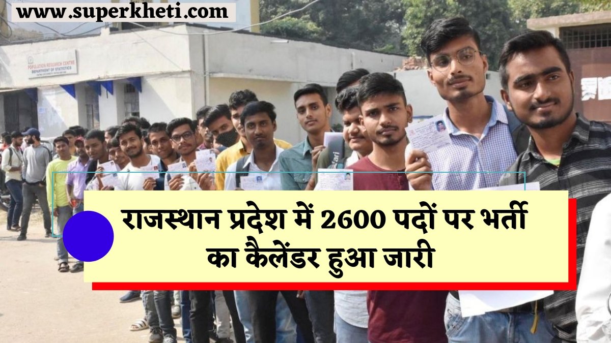 Rajasthan Govt Jobs 2024-25: राजस्थान प्रदेश में 2600 पदों पर भर्ती का कैलेंडर हुआ जारी, जानें ताजा अपडेट