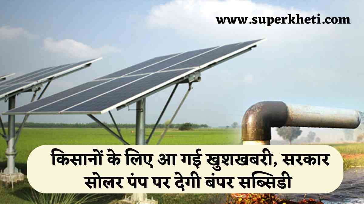 Rajasthan Solar Pump News: राजस्थान के किसानों के लिए आ गई खुशखबरी, प्रदेश सरकार सोलर पंप पर देगी बंपर सब्सिडी, जानें किन किन को मिलेगा लाभ