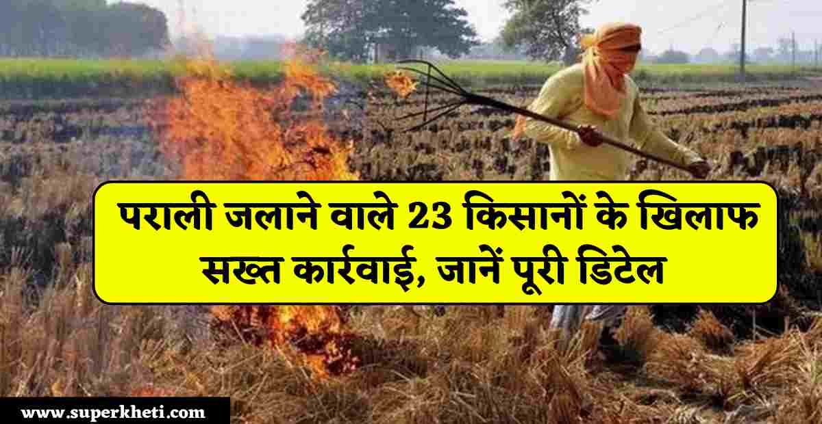 Stubble Burning Farmers Update: हरियाणा के इस जिले में प्रशासन उठा रहा पराली जलाने वाले किसानों के खिलाफ सख्त कार्रवाई, जानें पूरी डिटेल