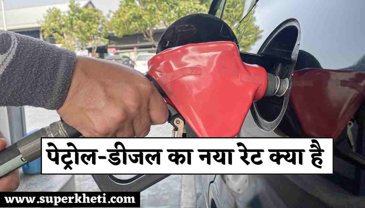 Aaj Ka Petrol-Diesel Price 05 नवंबर 2024: आज डीजल और पेट्रोल की कीमत कितना हुआ तेज, ताजा रेट