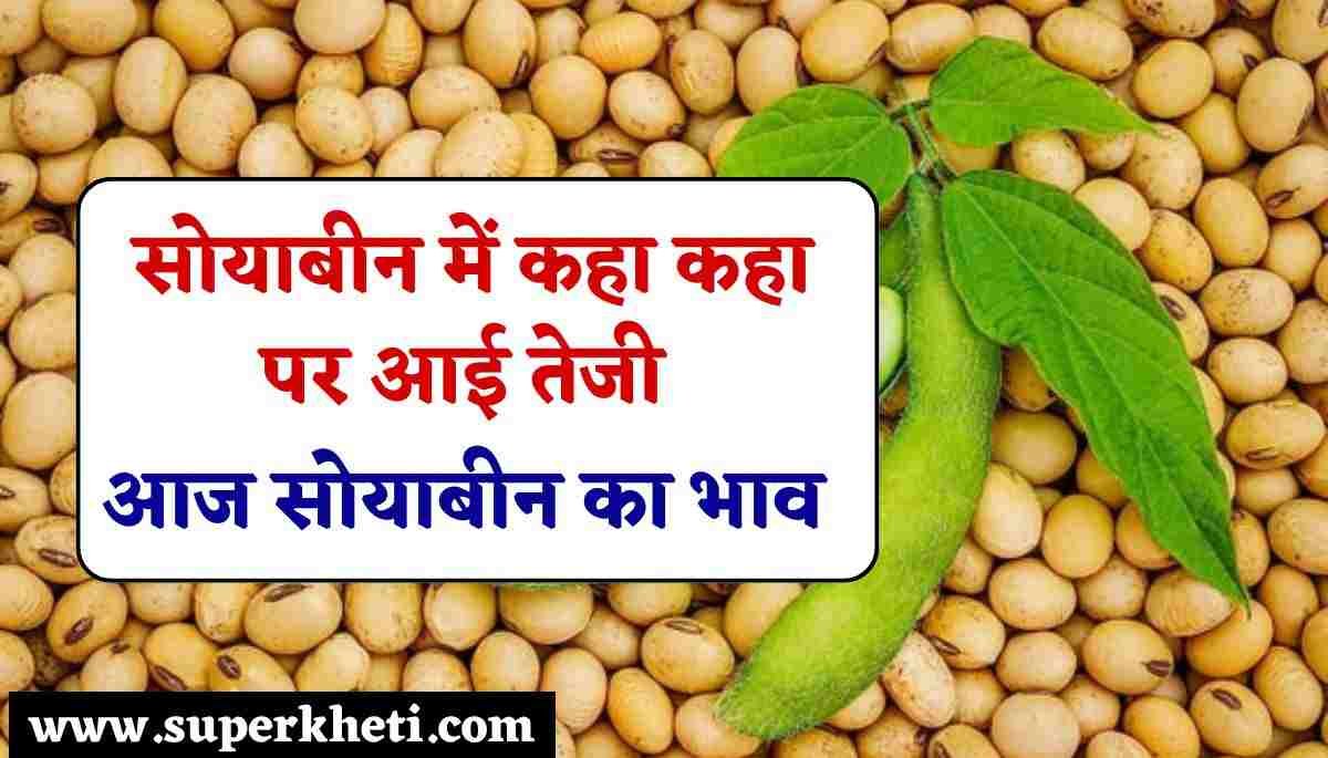 सोयाबीन भाव 14 अक्टूबर 2024: आज सोयाबीन भाव में कहा कहा पर आई तेजी, जानें आज का सोयाबीन का भाव 