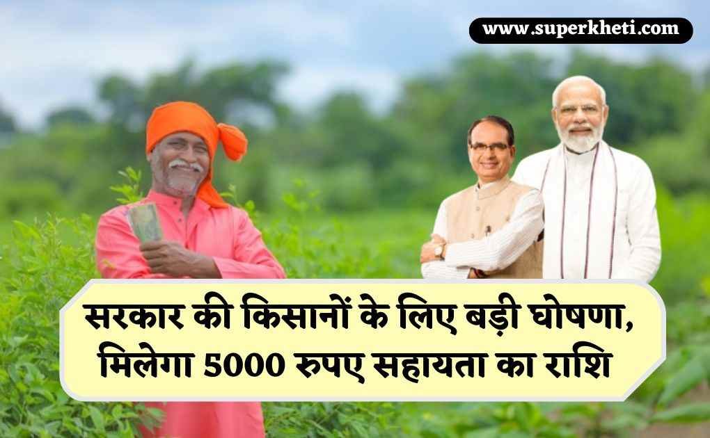 Bhavantar Payment Scheme: सरकार की किसानों के लिए बड़ी घोषणा, मिलेगा 5000 रुपए सहायता का राशि, जानें पूरी जानकारी