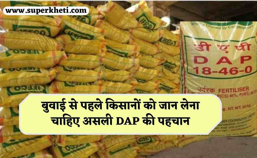 DAP Identification : बुवाई से पहले किसानों को जान लेना चाहिए असली-नकली DAP की पहचान, बिल्कुल आसान तरीका