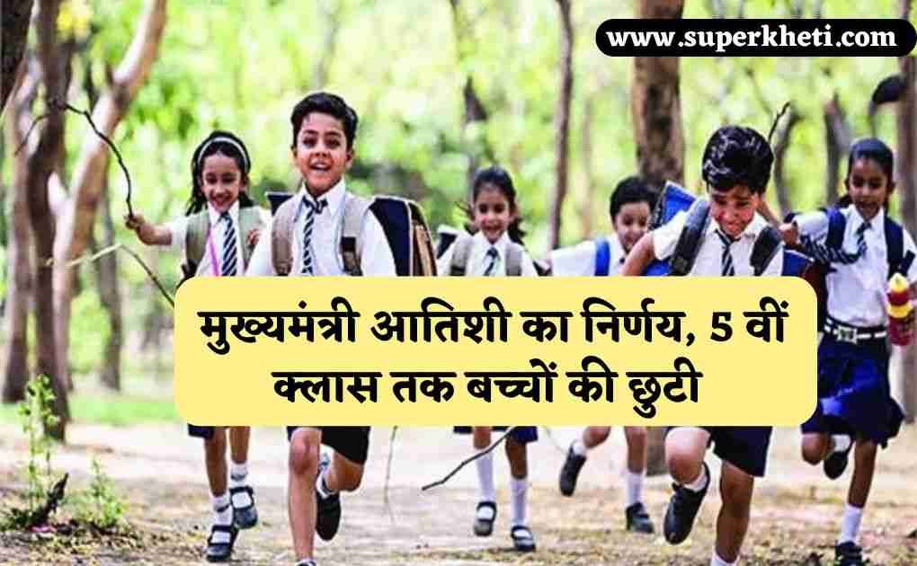 Delhi Primary Schools Closed: दिल्ली की मुख्यमंत्री आतिशी का निर्णय, 5 वीं क्लास तक बच्चों की छुटी, जानें पूरी खबर