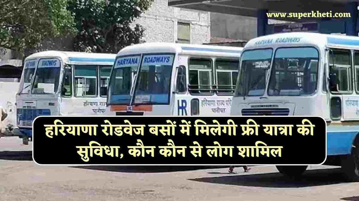 Haryana Roadways Free Bus Travel: हरियाणा रोडवेज बसों में मिलेगी फ्री यात्रा की सुविधा, जानें कौन कौन से लोग होगे शामिल