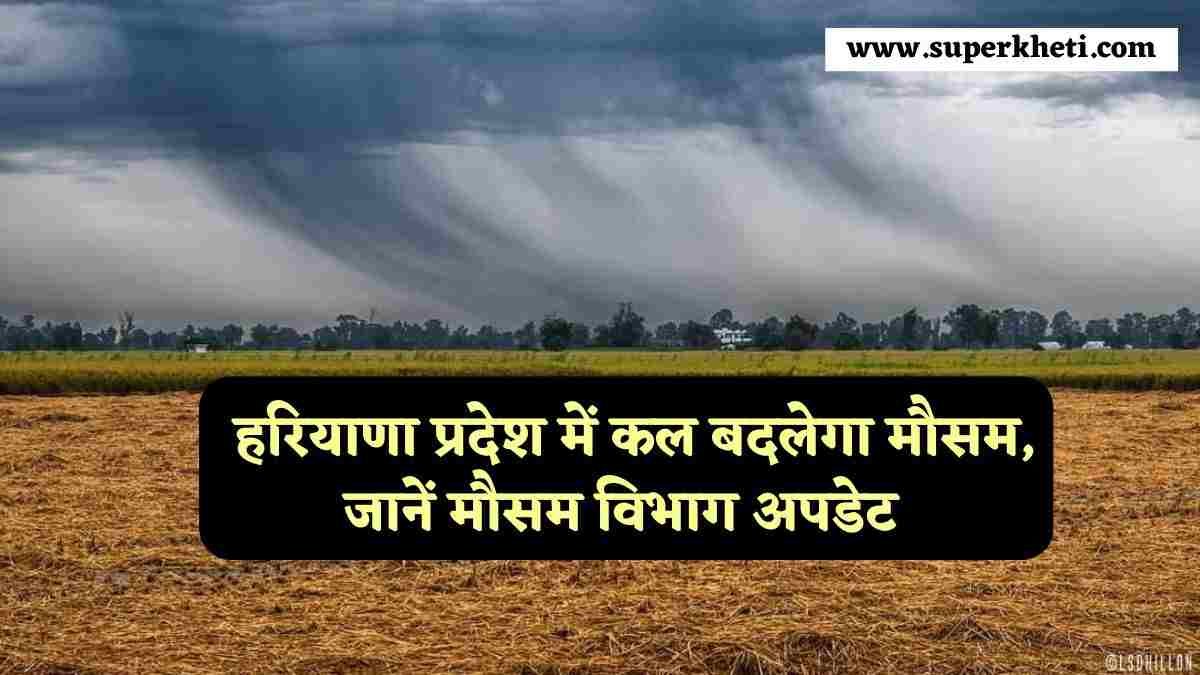 Haryana Weather Alert: हरियाणा प्रदेश में कल बदलेगा मौसम, जानें मौसम विभाग का ताजा अपडेट क्या है