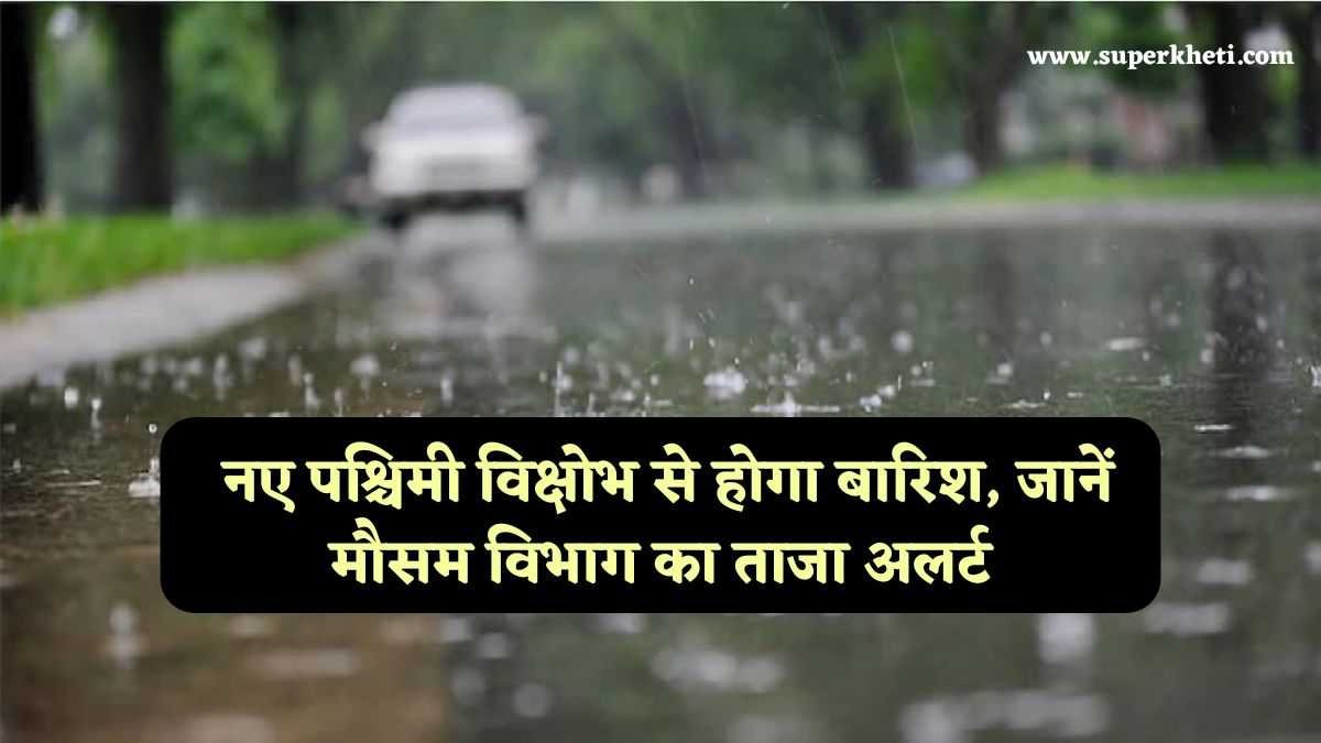 Haryana Weather Rain Update: हरियाणा प्रदेश में मौसम में नए पश्चिमी विक्षोभ से होगा बारिश, जानें मौसम विभाग का ताजा अलर्ट