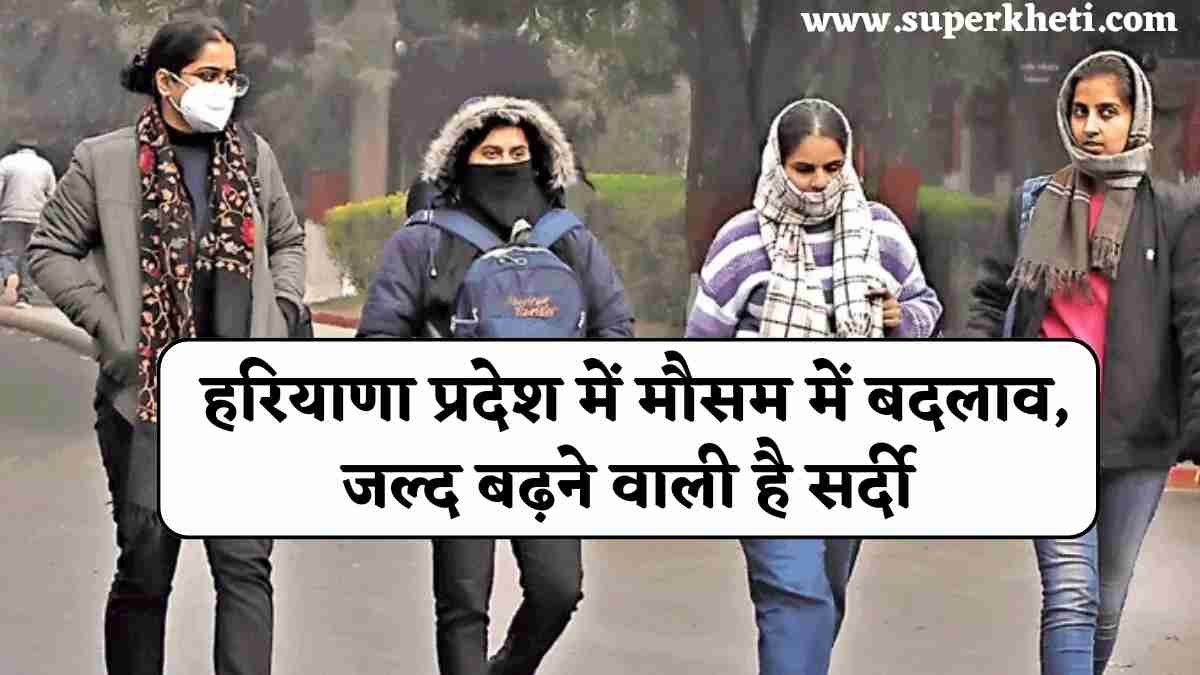 Haryana Weather Update: हरियाणा प्रदेश में मौसम में बदलाव, जल्द बढ़ने वाली है सर्दी, जाने ताजा अपडेट