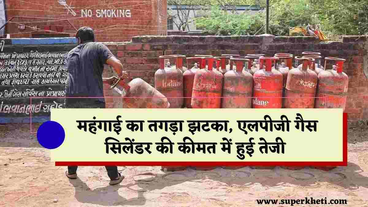 LPG Price Hike 1 november: आज से दिवाली के बाद उपभोक्ताओं को महंगाई का तगड़ा झटका, एलपीजी गैस सिलेंडर की कीमत में हुई तेजी