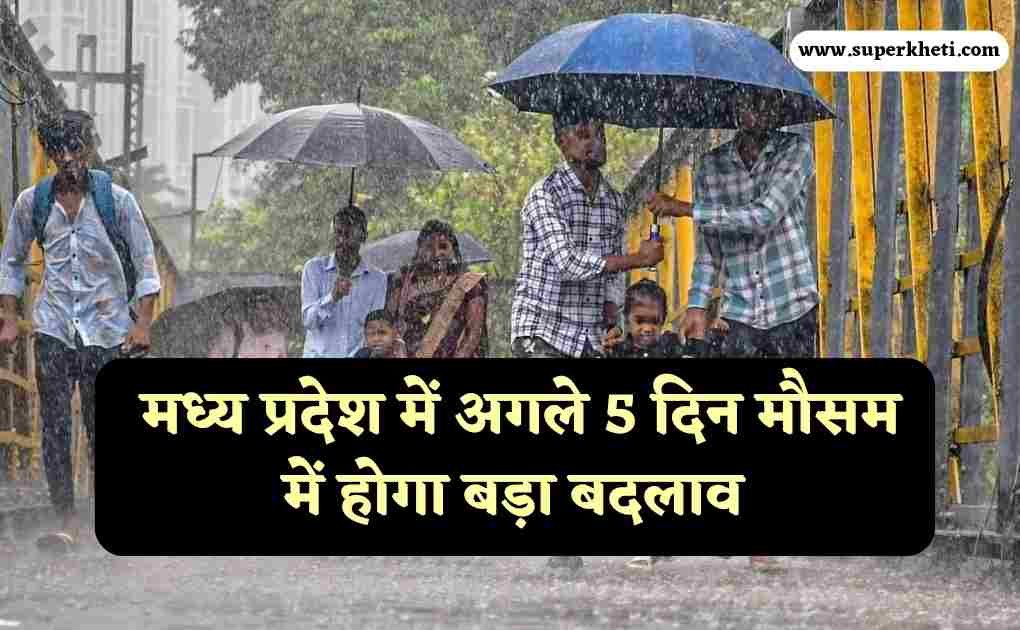 MP Weather Alert News: मध्य प्रदेश में अगले 5 दिन मौसम में होगा बड़ा बदलाव, मौसम विभाग ने किया अलर्ट, जाने ताजा मौसम जानकारी