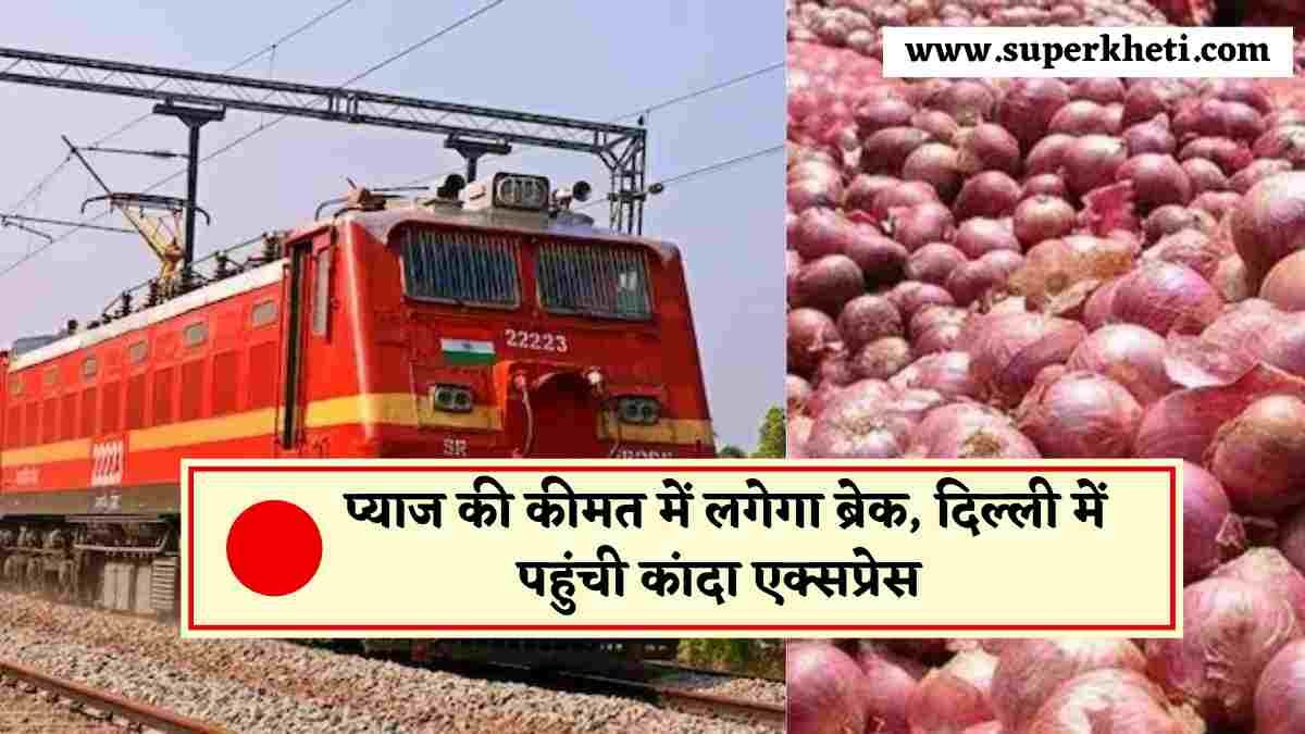 Onion Price News: प्याज की कीमत में लगेगा ब्रेक, सरकार का बड़ा कदम, दिल्ली में पहुंची कांदा एक्सप्रेस