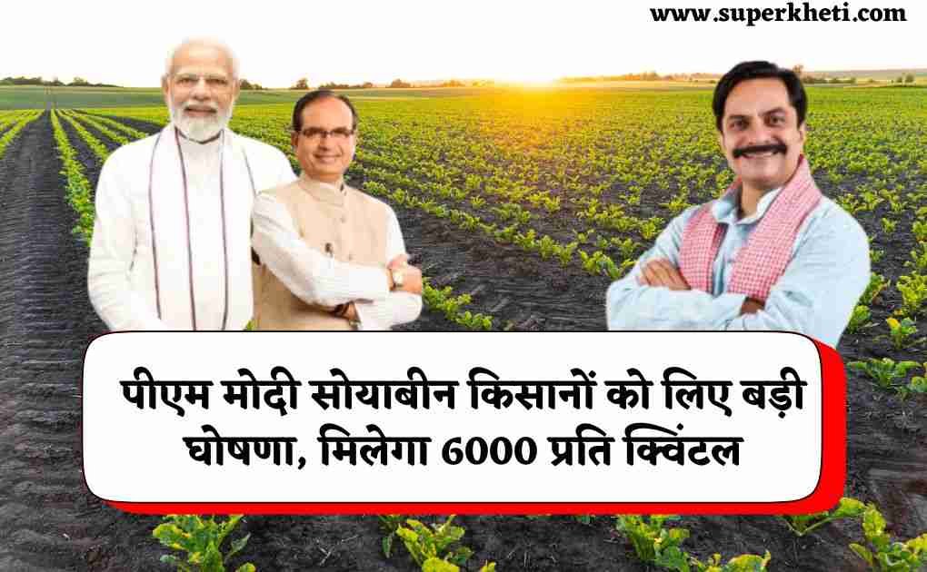 Soybean MSP 6000 Announcement: पीएम मोदी का सोयाबीन किसानों को लिए बड़ी घोषणा, मिलेगा सोयाबीन न्यूनतम समर्थन मूल्य 6000 प्रति क्विंटल