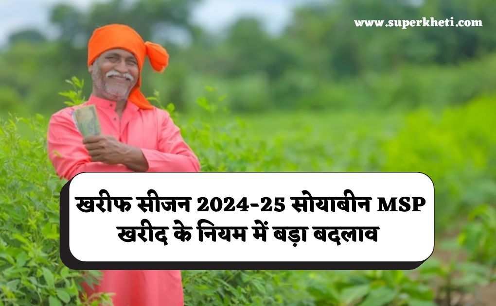 Soybean MSP Purchase Update: खरीफ सीजन 2024-25 सोयाबीन MSP खरीद के नियम में बड़ा बदलाव, किसानों को मिलेगा सीधा लाभ