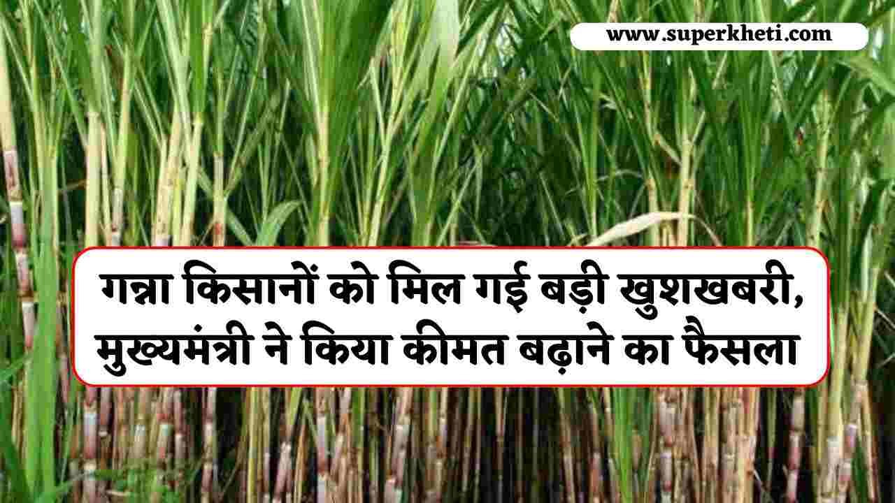 Sugarcane Price Increase: गन्ना किसानों को मिल गई बड़ी खुशखबरी, मुख्यमंत्री ने किया कीमत बढ़ाने का फैसला, जानें ताजा अपडेट