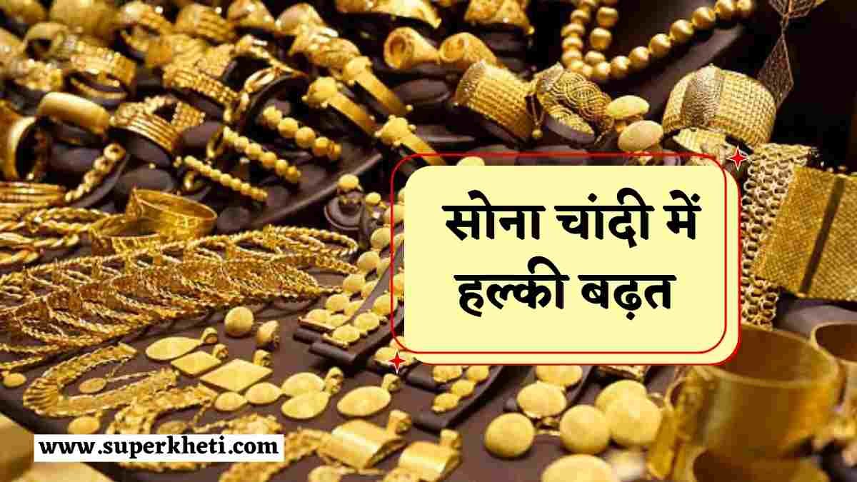 Today Gold Silver Price : सोना चांदी के रेट में हल्की बढ़त, जानें गोल्ड सिल्वर रेट आज का 