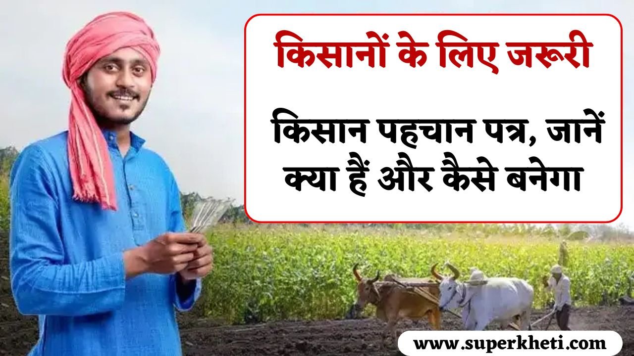 Farmer ID Card Update: सरकार बना रही किसानों का किसान पहचान पत्र, जानें क्या हैं और कैसे बनेगा