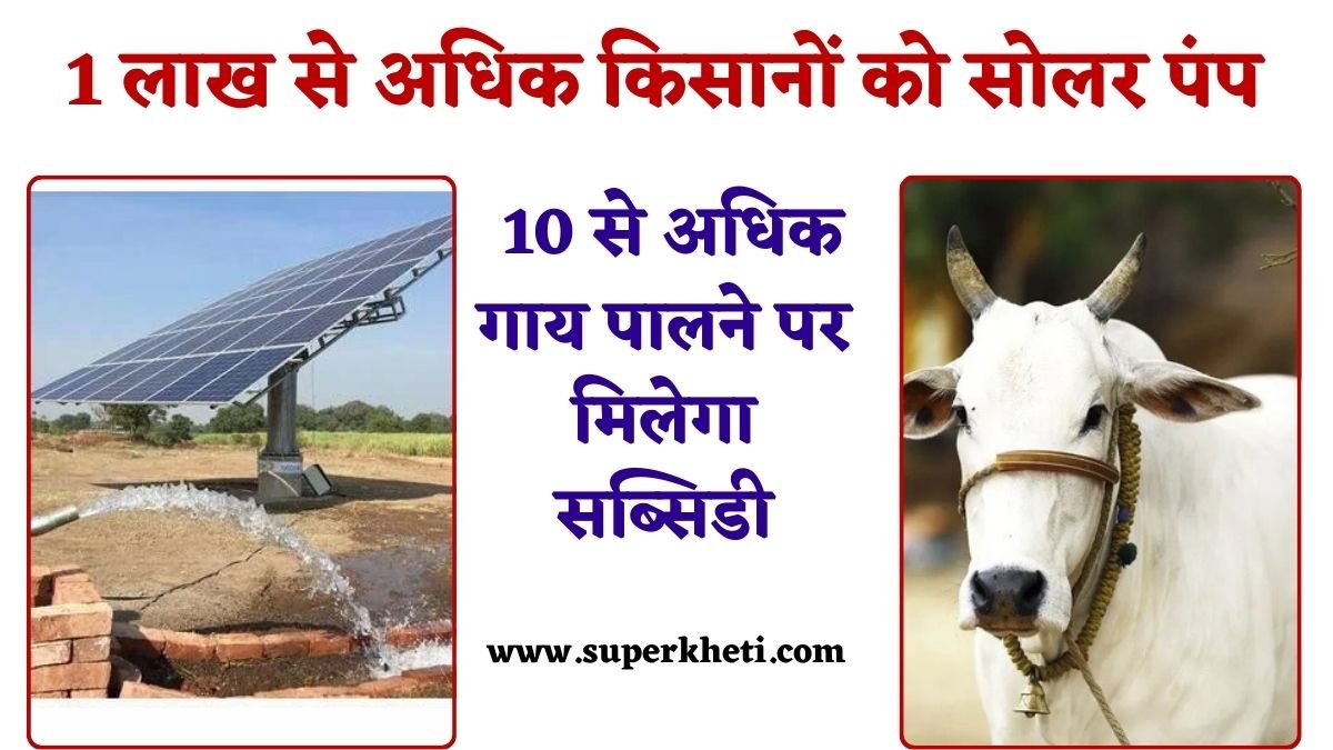 Farmers Good News: खुशखबरी, 1 लाख से अधिक किसानों को सोलर पंप, 10 से अधिक गाय पालने पर मिलेगा सब्सिडी
