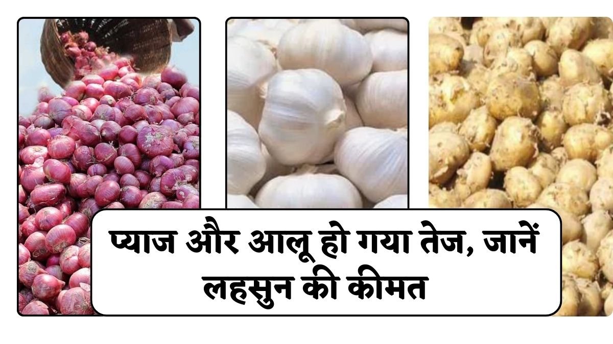 Today Garlic Onion Rate: प्याज और आलू हो गया तेज, जानें आलू, प्याज और लहसुन की कीमत 