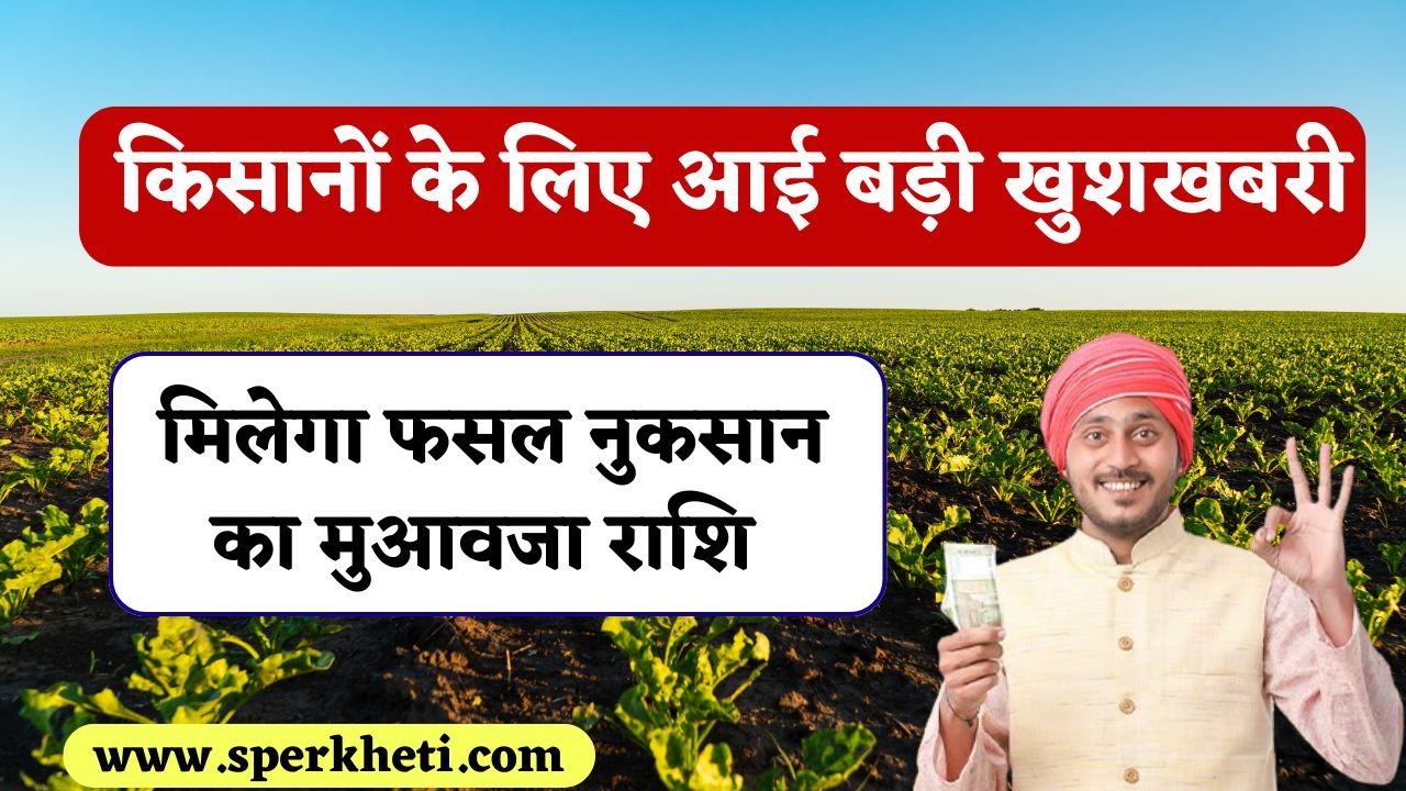 प्रदेश के 68000 से अधिक किसानों के लिए आई बड़ी खुशखबरी, मिलेगा फसल नुकसान का मुआवजा राशि