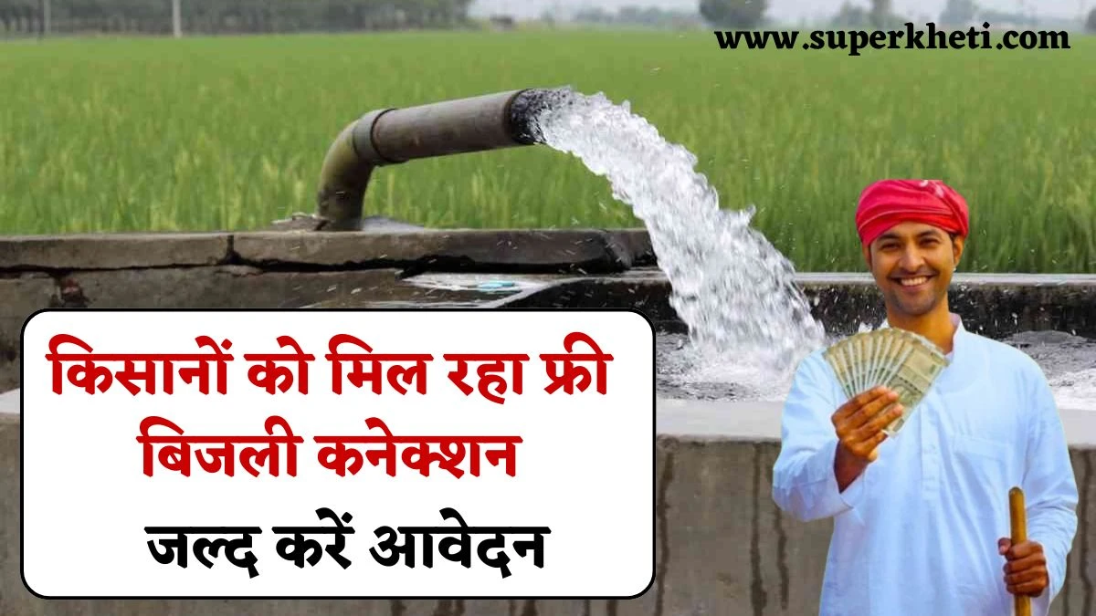 Bihar free Krishi Bijli connection 2025: किसानों को खेत में सिंचाई के लिए प्रदेश सरकार दे रही फ्री बिजली कनेक्शन, जल्द करें आवेदन
